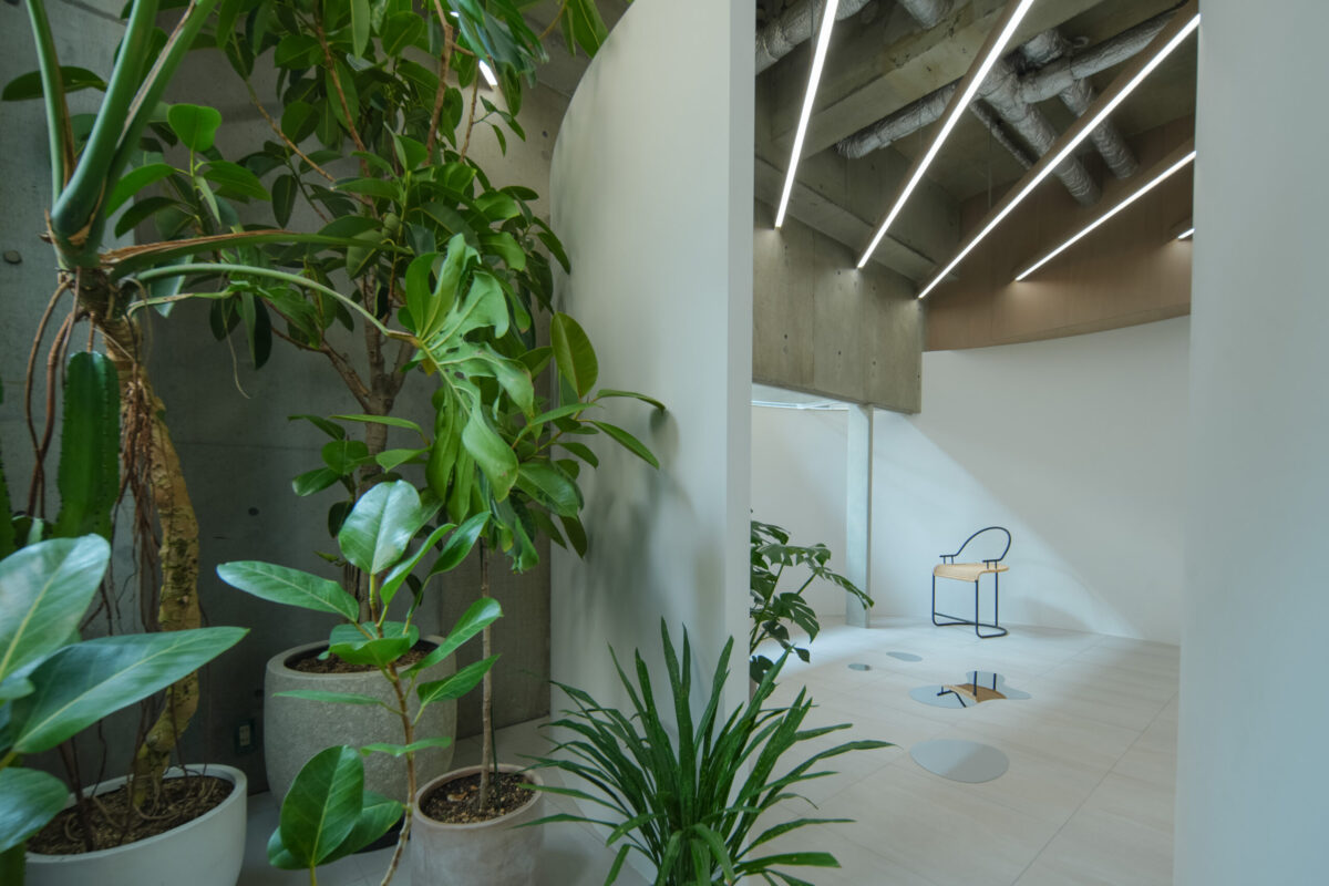 観葉植物が並ぶ広い撮影スペースと天井一面の360°LED照明・子どもがどこで動いても撮れる広島市安佐南区の個人フォトスタジオ内観